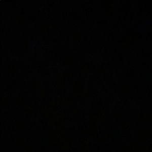 Meet your Posher, Alonzo